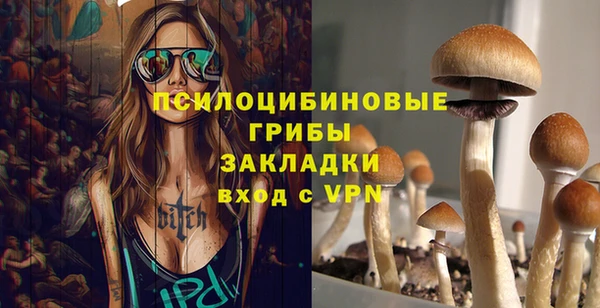 2c-b Белокуриха