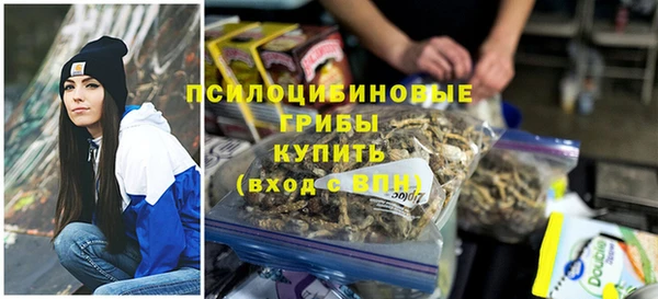 2c-b Белокуриха