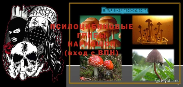стаф Беломорск
