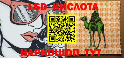 винт Ипатово