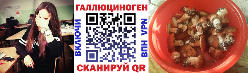 нарко площадка состав  Лыткарино  Галлюциногенные грибы Cubensis 