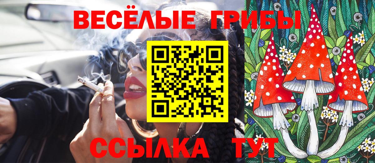 Галлюциногенные грибы мицелий  Вход с VPN  Лыткарино  Галлюциногенные грибы MAGIC MUSHROOMS 
